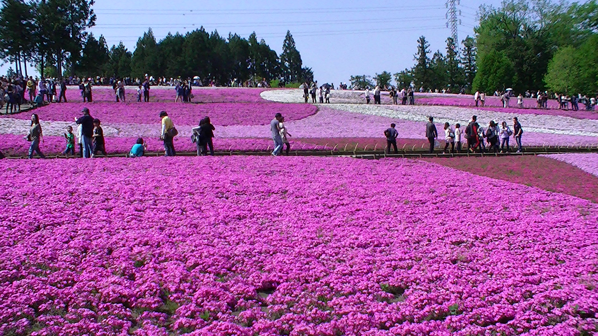 300x300のサンプルイメージ