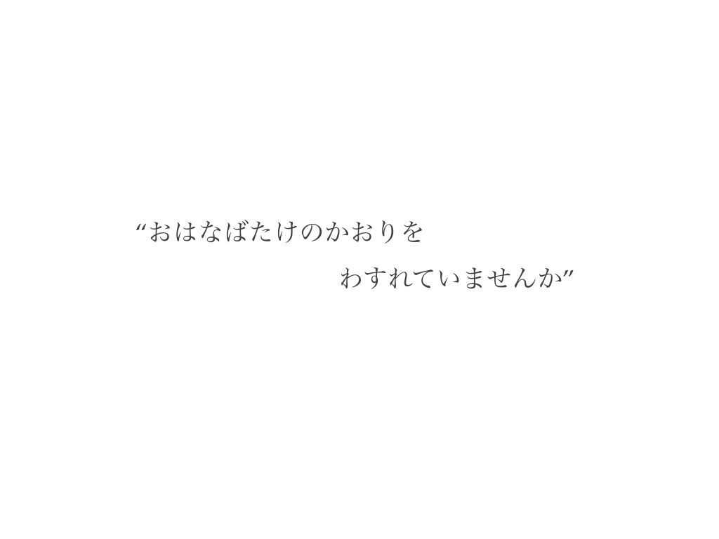 300x300のサンプルイメージ